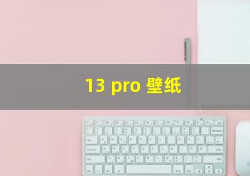 13 pro 壁纸